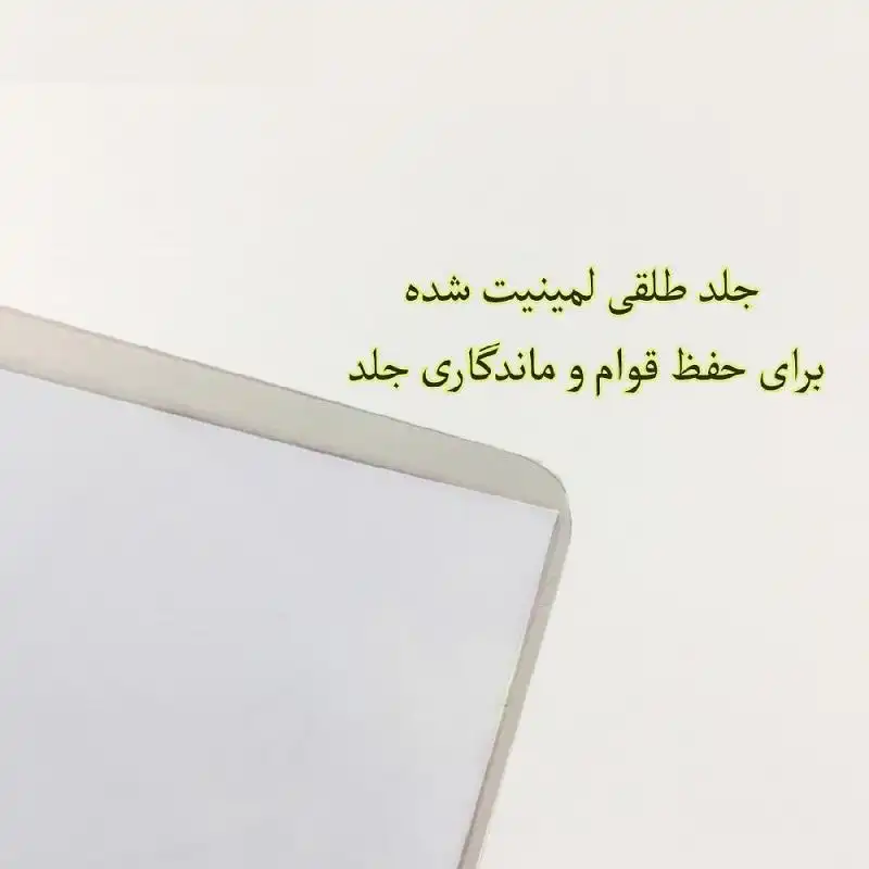 پوستر مدل بلک پینک p45