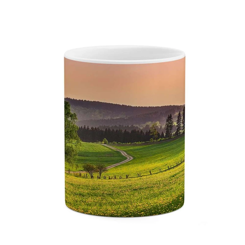 ماگ کاکتی مدل منظره کد mgh13108