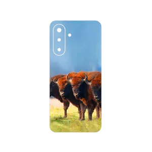 MAHOOT Buffalo Cover Sticker for Samsung Galaxy A17 4G