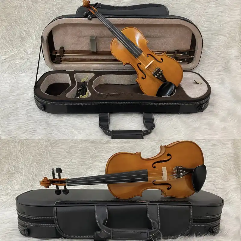 هاردکیس ویولن مدل MSGHSN