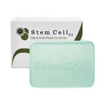 پن استم سل مدل Oily & Acne وزن 100 گرم