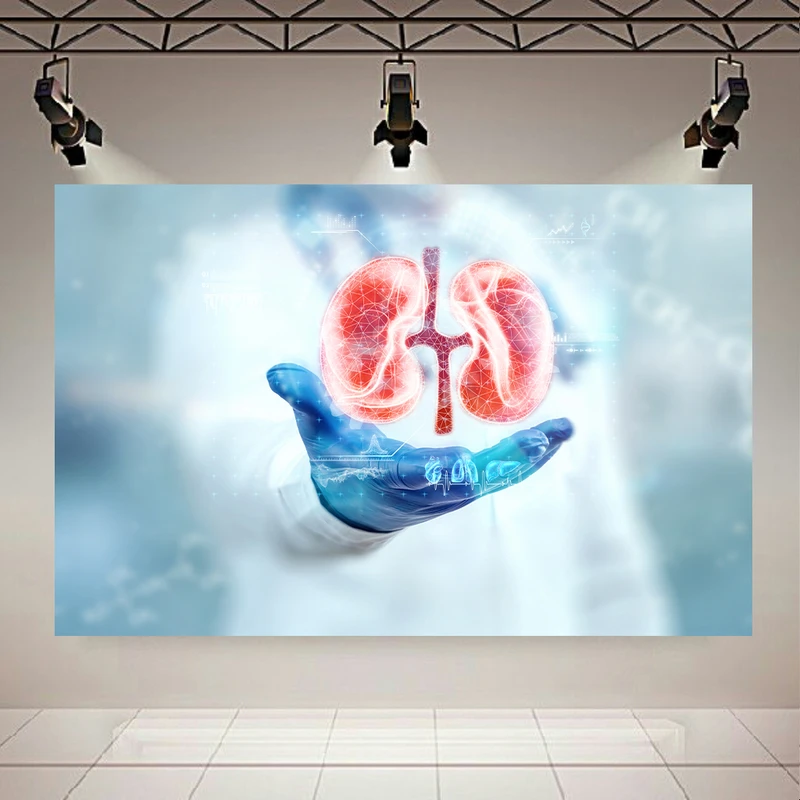 پوستر طرح مخمل پزشک مدل کلیه دیجیتال کد AR303417