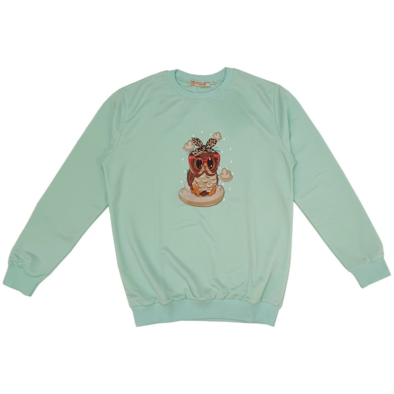 سویشرت آستین بلند زنانه مدل نخ پنبه رنگ سبز