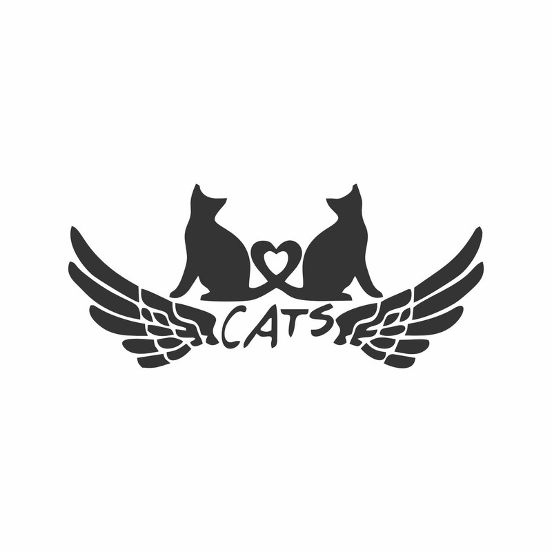 برچسب بدنه خودرو ونگارد طرح CATS کد M5
