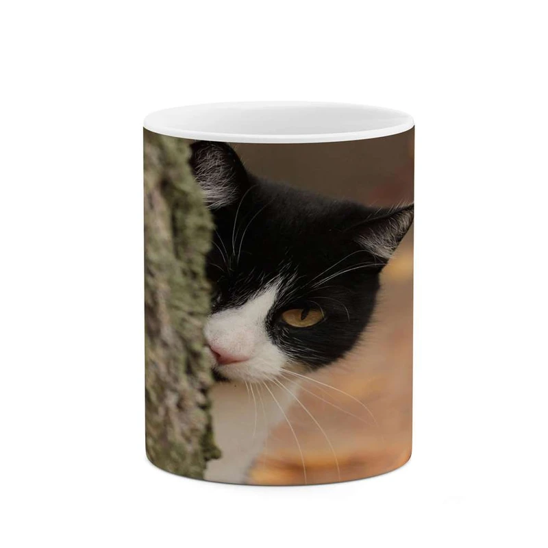 ماگ کاکتی مدل گربه کد mgh16200