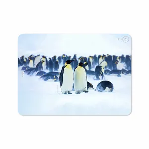 MAHOOT Penguin Cover Sticker for Apple iPad Pro 11 2018 A1979