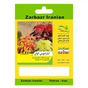 بذر گل آمارانتوس الوان زربذر ایرانیان کد ZBP-63