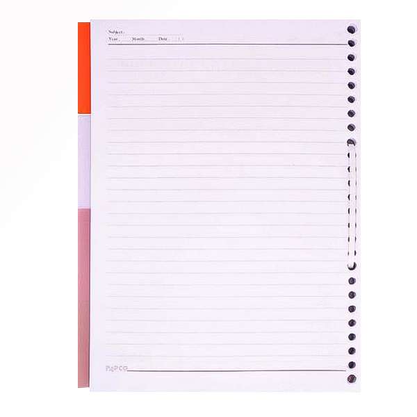 کاغذ کلاسور پاپکو کد 009 بسته 100 عددی کاغذ کلاسور پاپکو کد 009 بسته 100 عددی