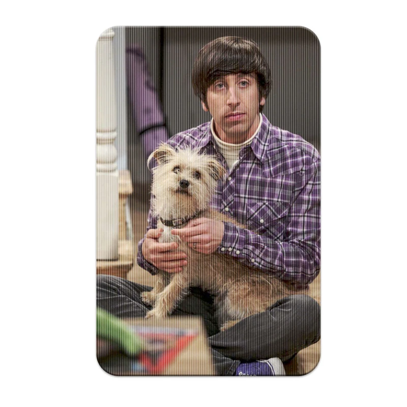 استیکر کارت پرمانه طرح big bang theory کد pm3d.601
