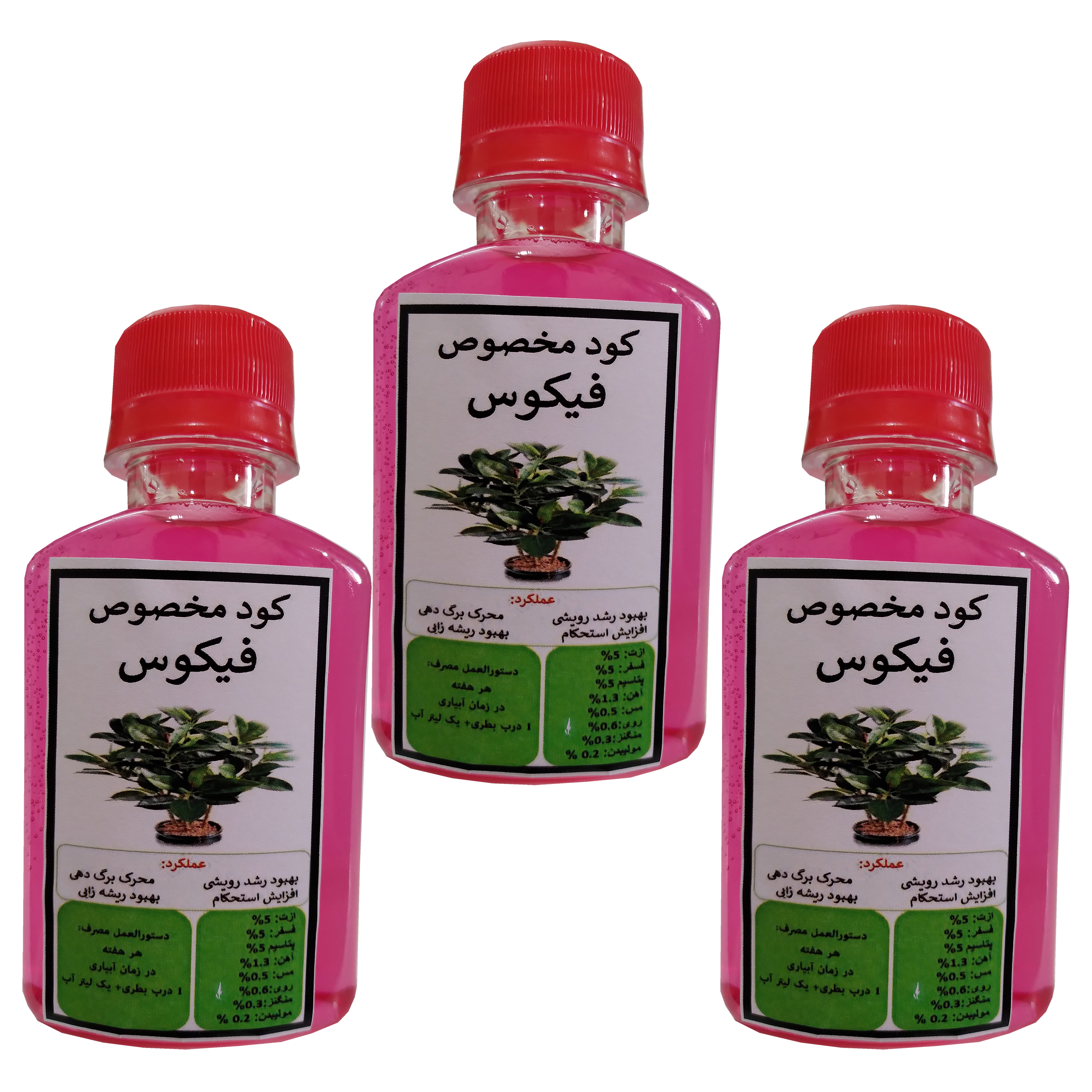 عکس شماره 1