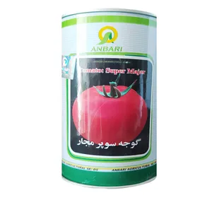 بذر گوجه فرنگی عنبری مدل 002