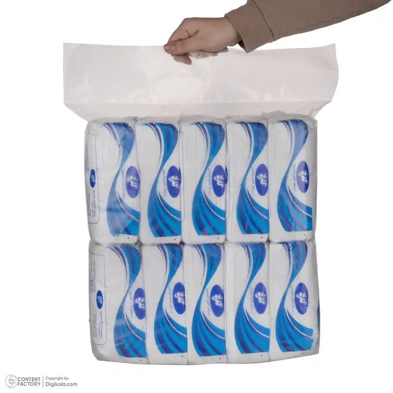 دستمال کاغذی 150 برگ گلرخ مدل اقتصادی بسته 10 عددی