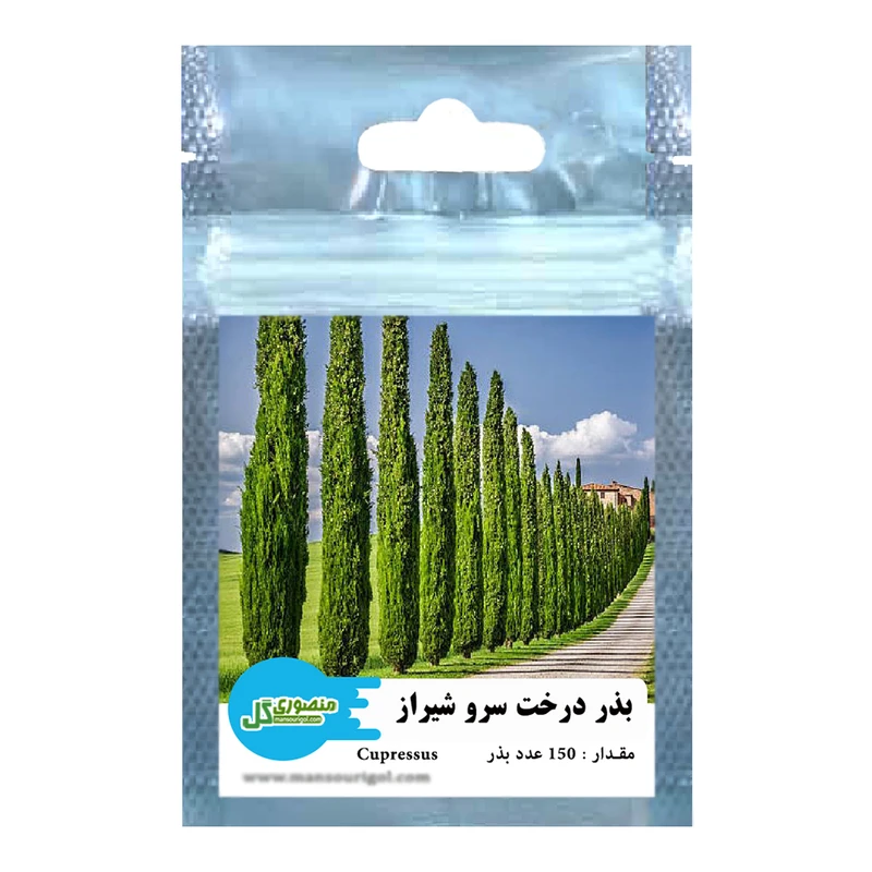 بذر درخت سرو شیراز منصوری گل کد Mc150 وزن 2 گرم