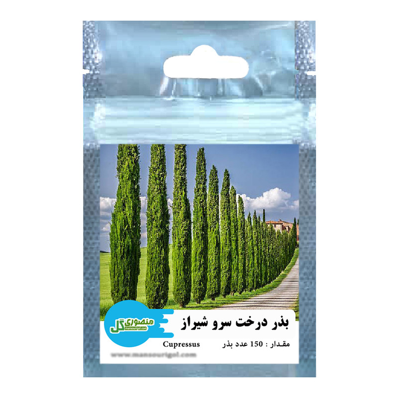  بذر درخت سرو شیراز منصوری گل کد Mc150 وزن 2 گرم