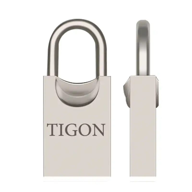 فلش مموری تایگون مدل P93 ظرفیت 16 گیگابایت