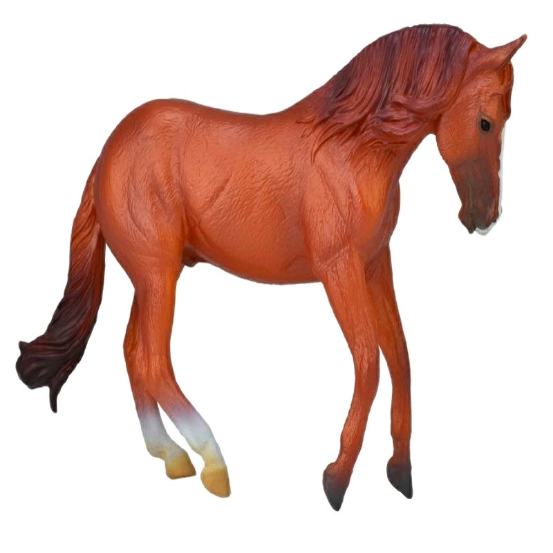 فیگور مدل اسب نر استوک استرالیایی کُرَنگ