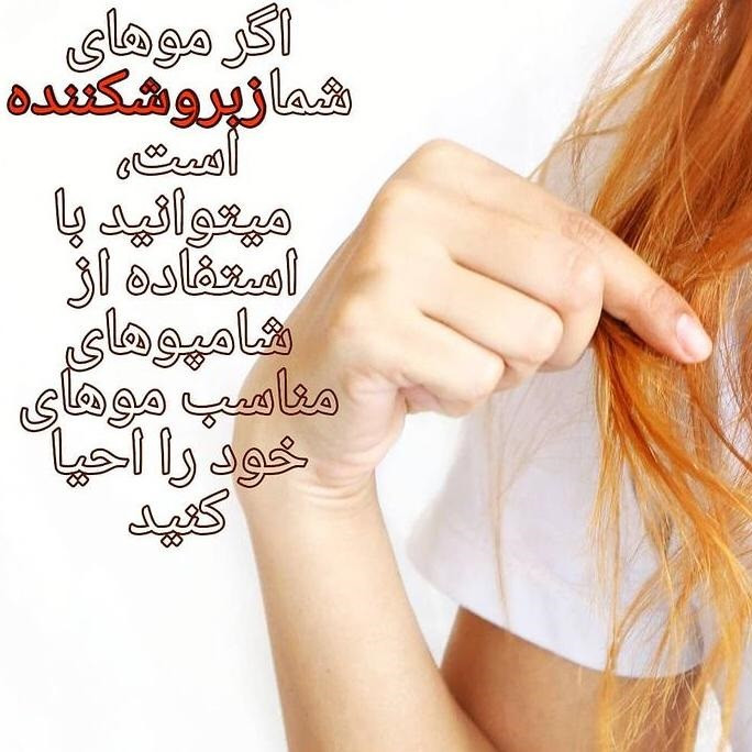 شامپو مو دوفاری مدل آمونیاک و سولفات فری حجم 1000 میلی لیتر شامپو مو دوفاری مدل آمونیاک و سولفات فری حجم 1000 میلی لیتر