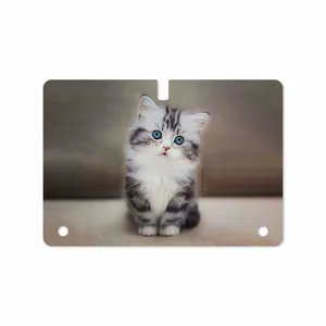 MAHOOT Cat-2 Cover Sticker for Samsung Galaxy Tab S 10.5 2014 T805