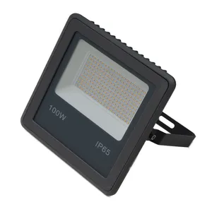 پروژکتور 100 وات زیبانور مدل 00100