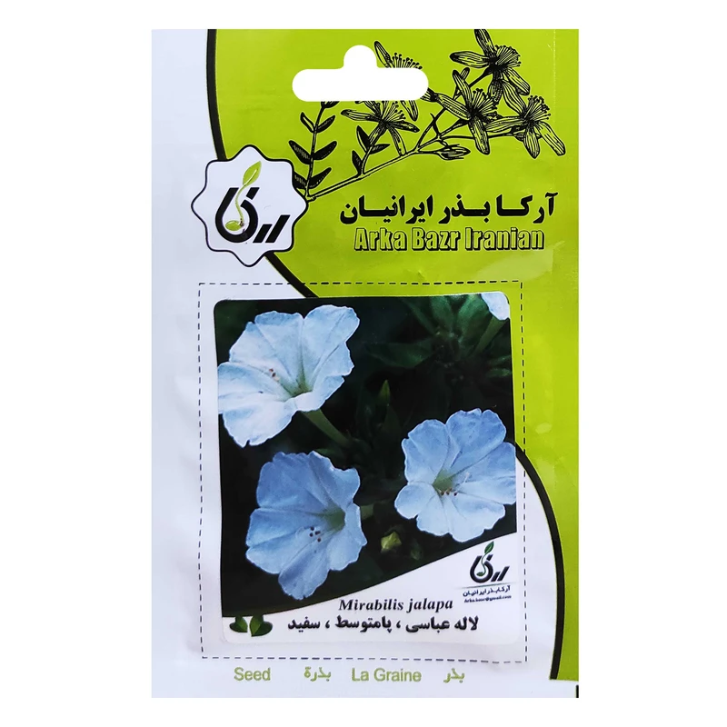 	 بذر لاله عباسی پامتوسط سفید آرکا بذر ایرانیان کد ARK-048