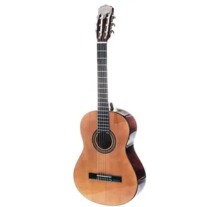 گیتار جان ویلیامز مدل JW-600