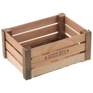 ارگانایزر مدل TT03