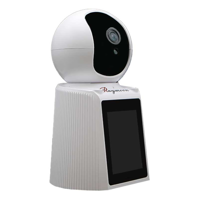دوربین مداربسته تحت شبکه رایمون مدل RW300