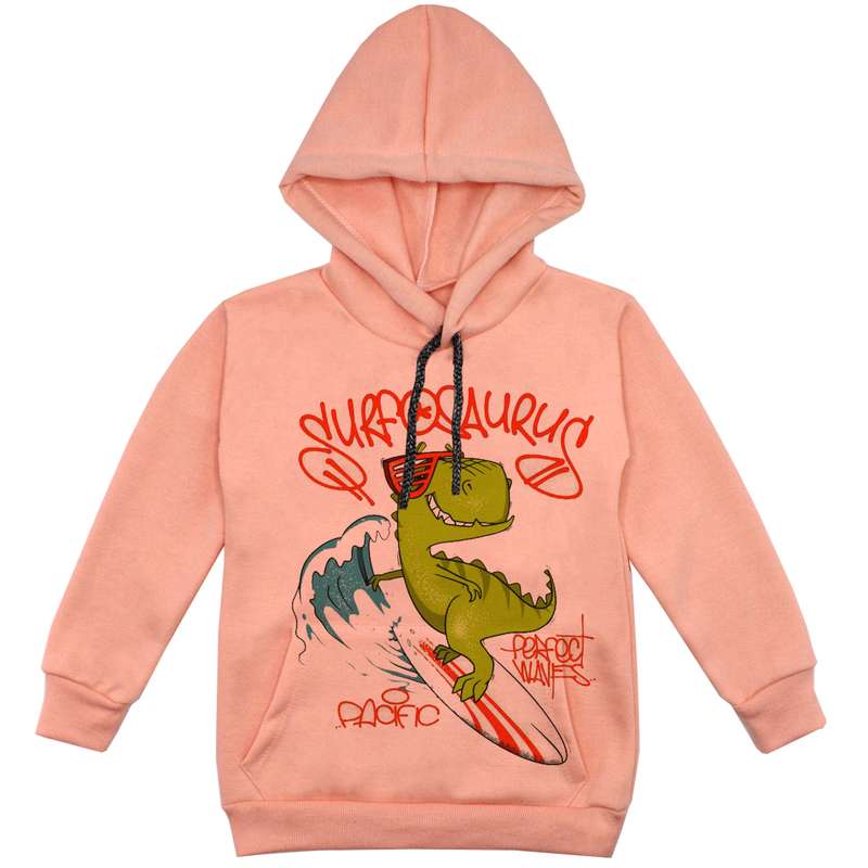 هودی پسرانه مدل  دانیاسور موج سوار F219 رنگ گلبهی