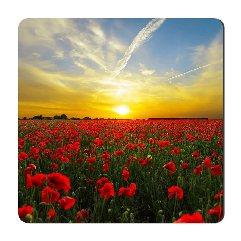 مگنت یخچالی گالری باجو طرح گل کد flower 33