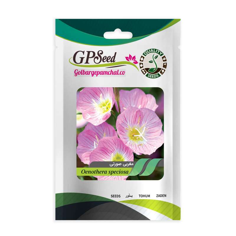 بذر گل مغربی صورتی گلبرگ پامچال کد GPF-081