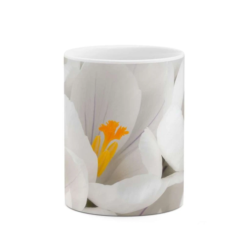 ماگ کاکتی مدل گل کد mgh12031