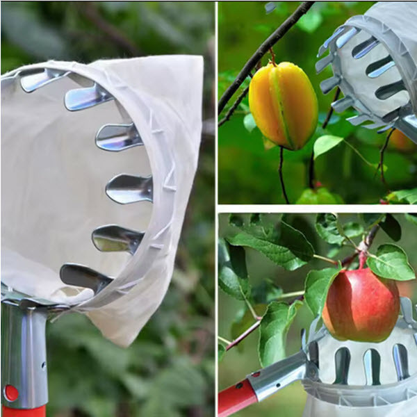 میوه چین مدل سبدی کد B5214