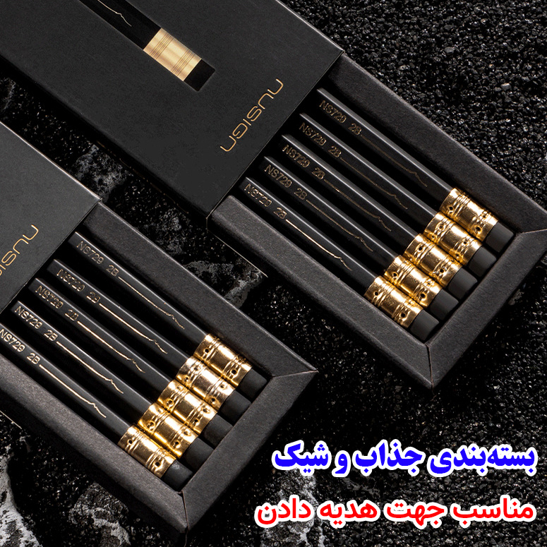 مداد مشکی دلی با درجه سختی HB مدل NS729 بسته 10 عددی