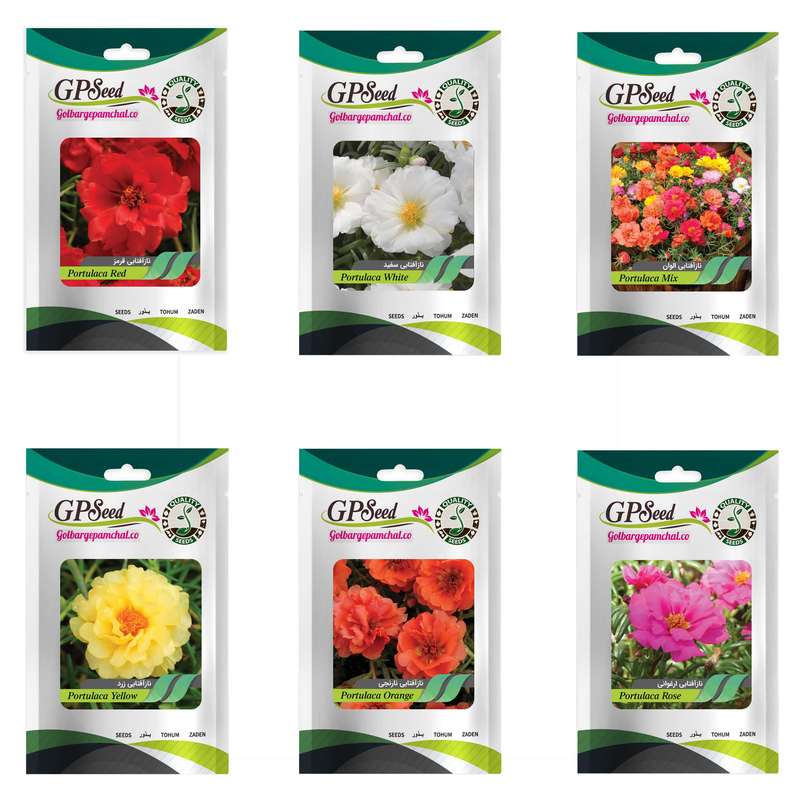 بذر گل ناز آفتابی پرفروش گلدانی گلبرگ پامچال کد G-P-GP-06 مجموعه 6 عددی
