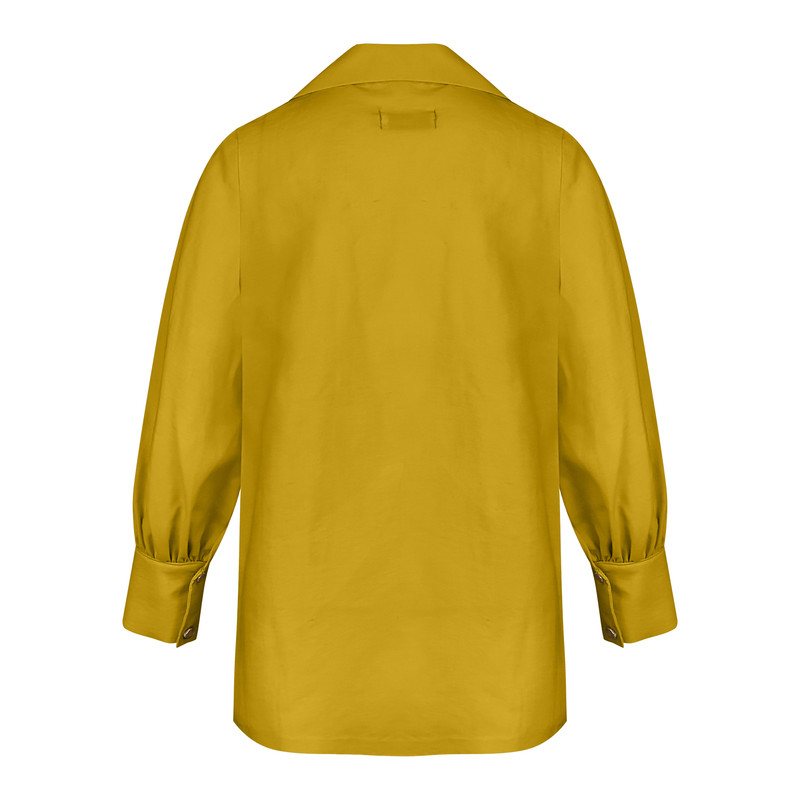 شومیز آستین بلند زنانه مدل ZREW33 رنگ زرد