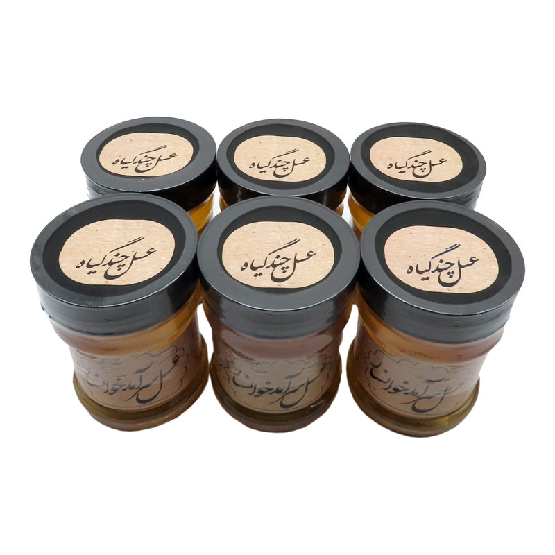عسل طبیعی چند گیاه سرآمد  - 400 گرم بسته 6 عددی