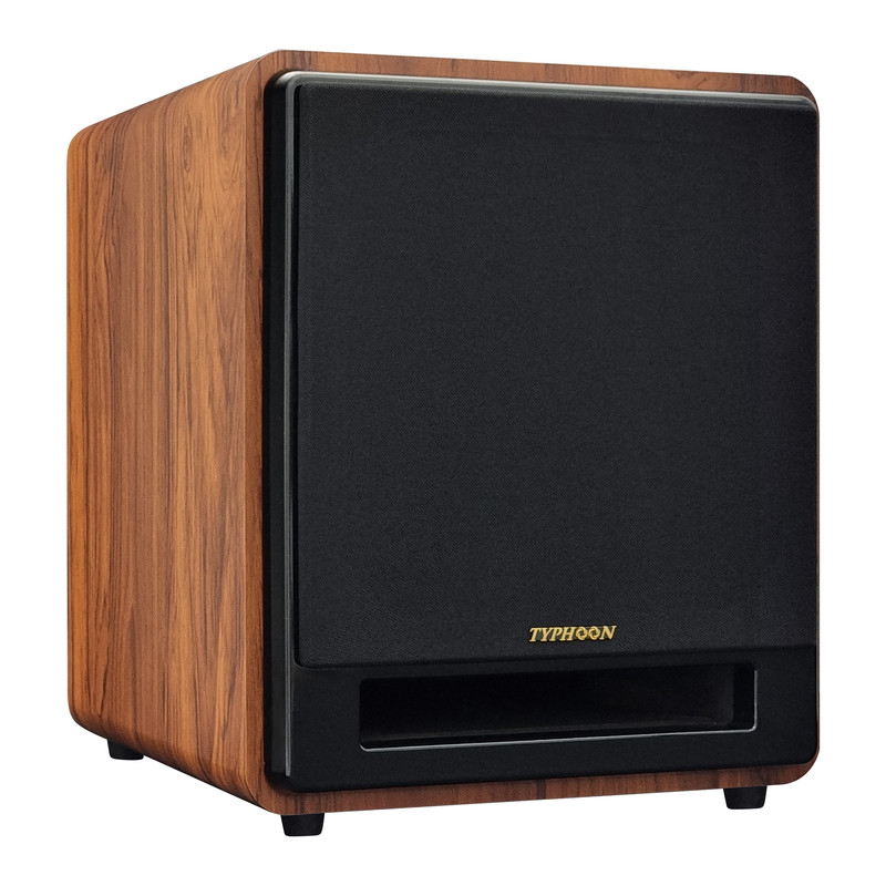 ساب ووفر پسیو تایفون مدل TY-SB10
