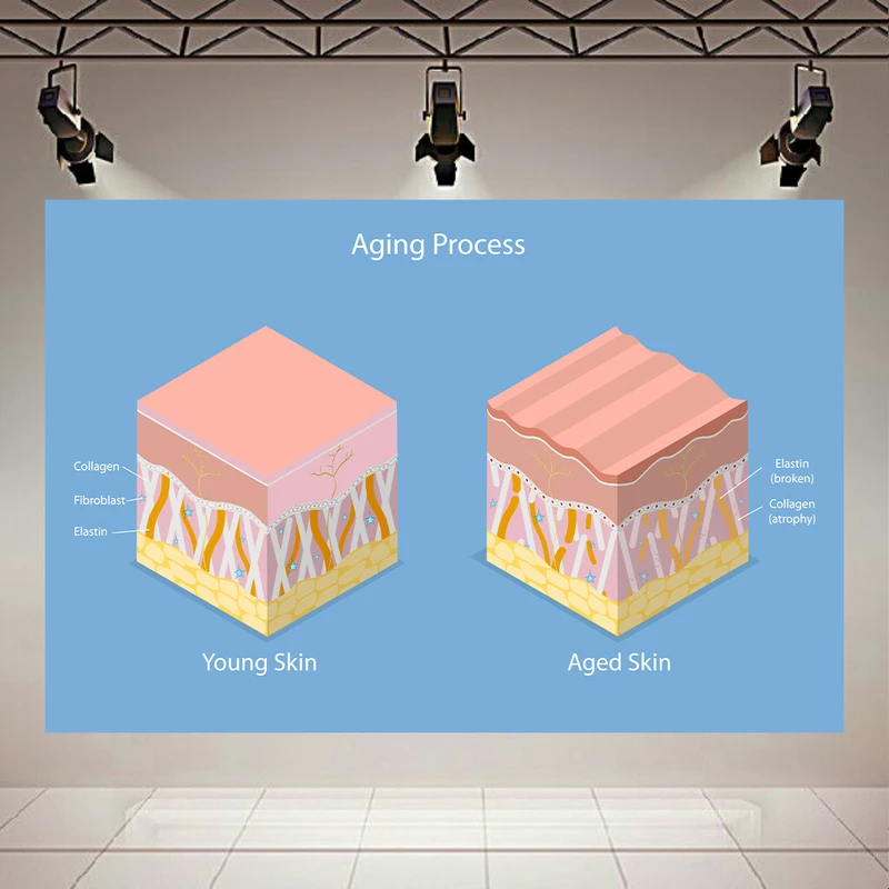 تابلو بوم طرح مخمل بیولوژی مدل پیری پوست کد AR304031