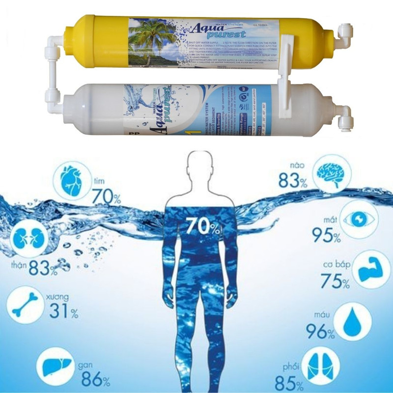 فیلتر تصفیه آب یخچال و فریزر آکوا پیورست مدل INLINE-NEW 02 مجموعه 2 عددی