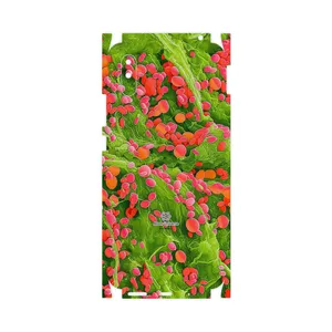 MAHOOT Atom Universe 3-FullSkin Cover Sticker for Xiaomi Redmi 9i Sport