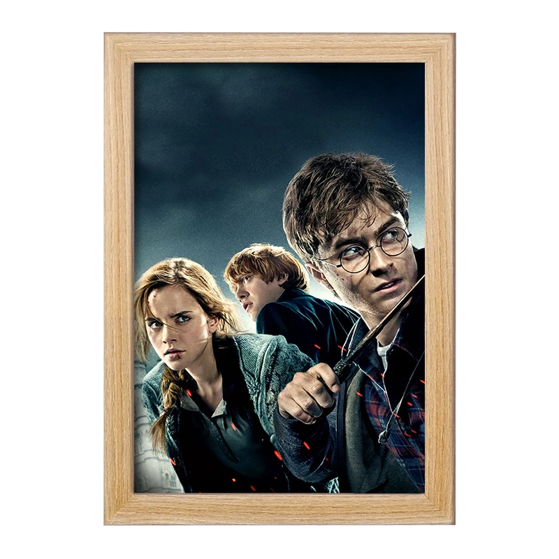 تابلو خندالو مدل رون و هرمیون و هری پاتر Harry Potter  کد 2915
