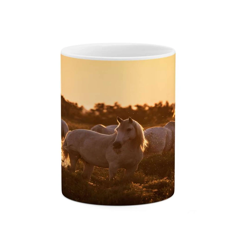 ماگ کاکتی مدل اسب کد mgh24267