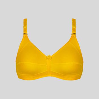 سوتین زنانه پانیذ کد 3171-4