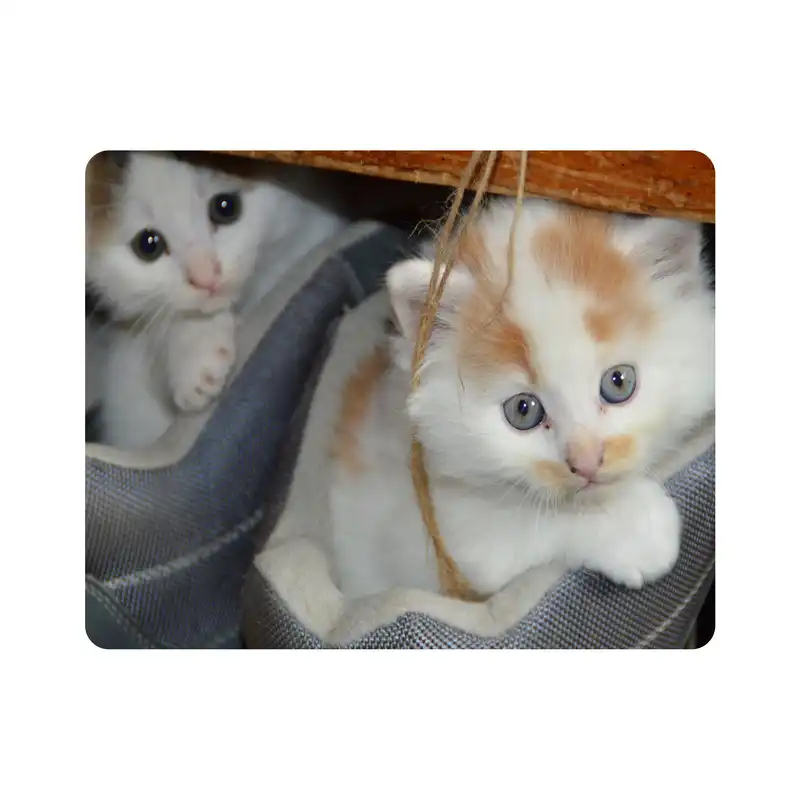 ماوس پد اطلس آبی طرح گربه مدل T1609