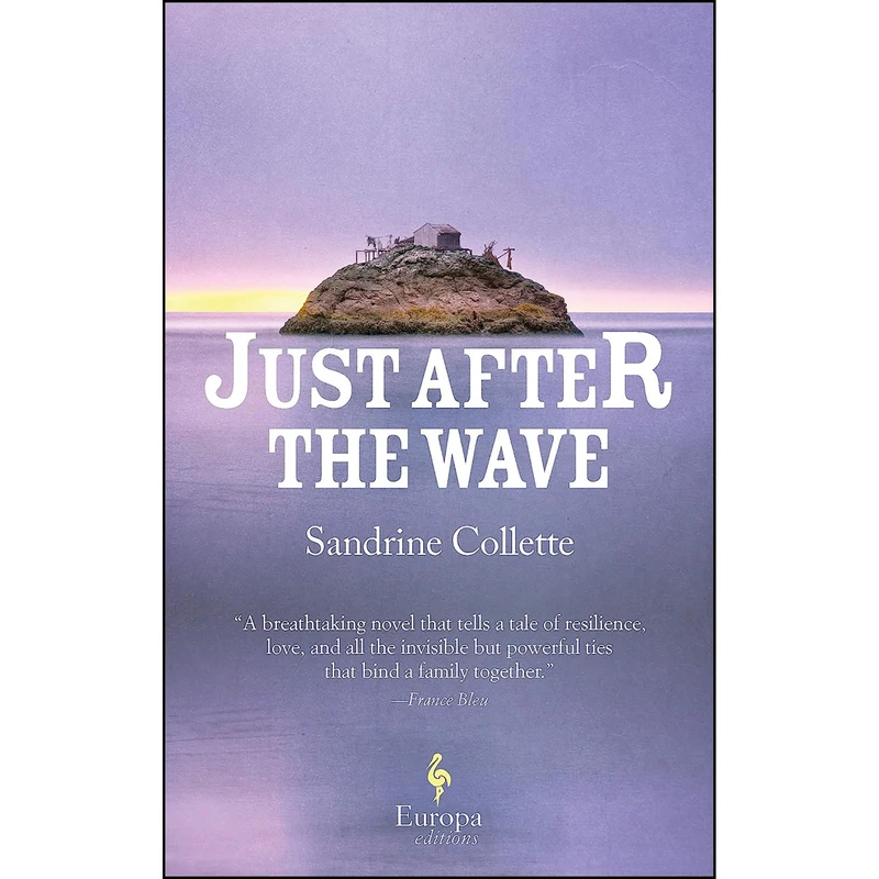 کتاب Just After the Wave اثر جمعي از نويسندگان انتشارات Europa Editions