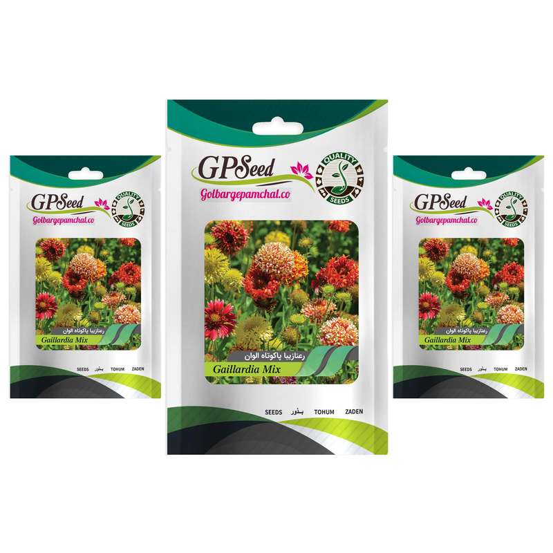 بذر گل رعنا زیبا پامتوسط الوان گلبرگ پامچال کد GPF-053 مجموعه 3 عددی