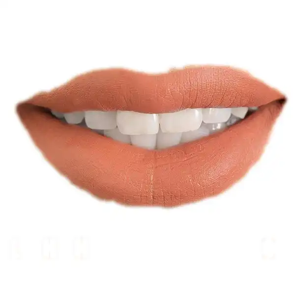 رژ لب جامد فان فیس شماره V 204