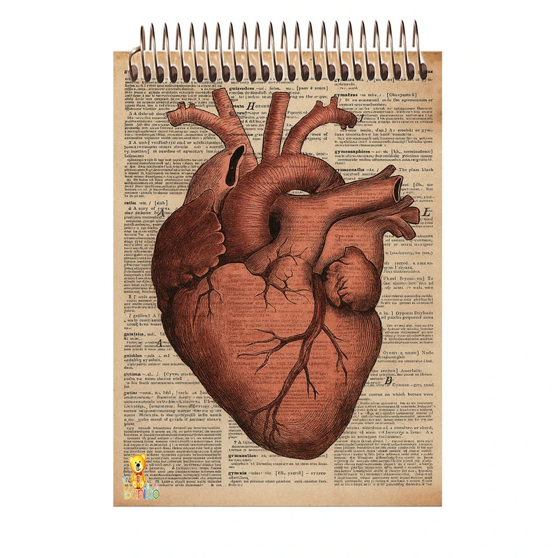 دفتر شطرنجی 100 برگ بانیبو مدل قلب کد 2733