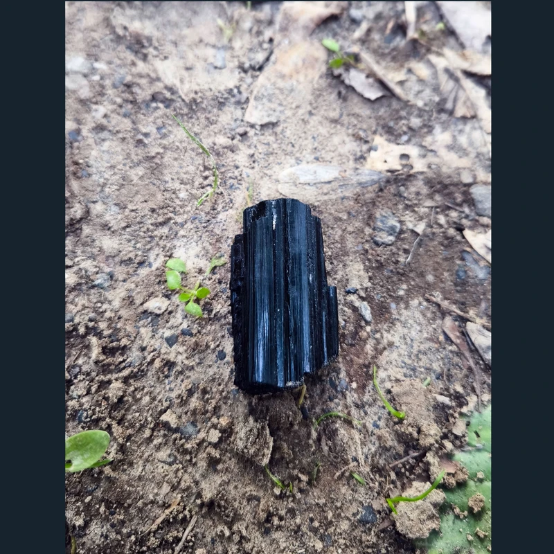 عکس شماره 4 : سنگ راف تورمالین مدل شاخه کد 204