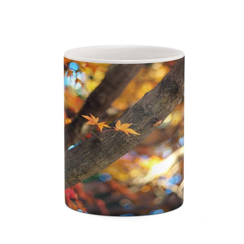 ماگ کاکتی مدل پاییز کد mgh19328